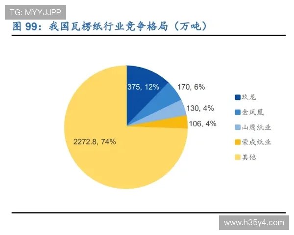 成都排球队的转型之路与未来发展趋势深度解析 成都排球队的转型之路与未来发展趋势深度解析