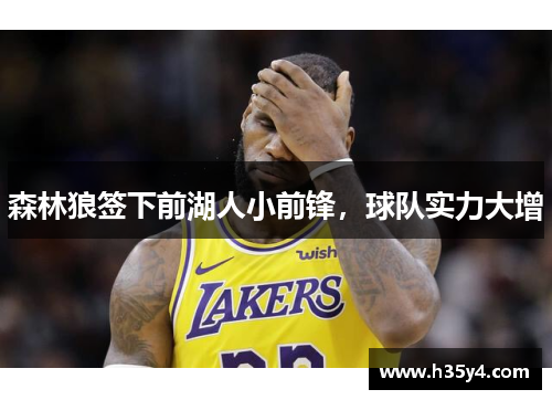 森林狼签下前湖人小前锋，球队实力大增